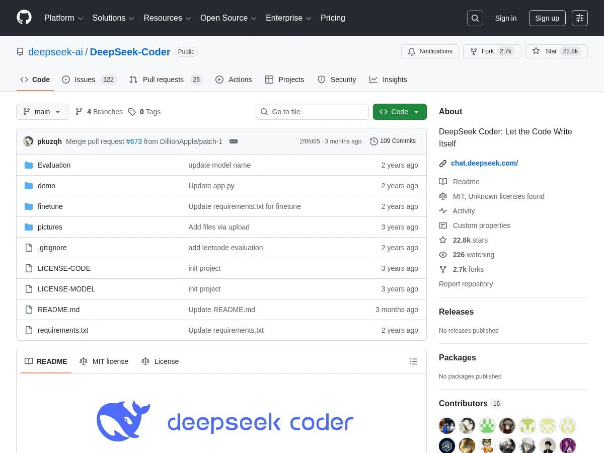 DeepSeek Coder Screenshot